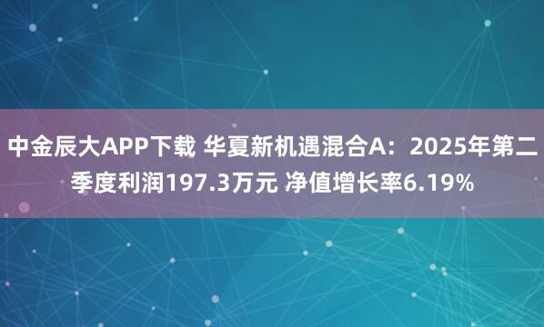 中金辰大APP下载 华夏新机遇混合A：2025年第二季度利润197.3万元 净值增长率6.19%