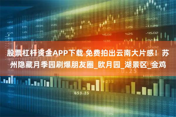 股票杠杆资金APP下载 免费拍出云南大片感！苏州隐藏月季园刷爆朋友圈_欧月园_湖景区_金鸡