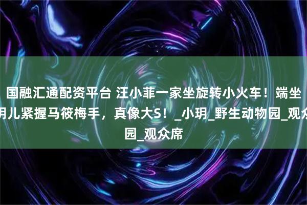 国融汇通配资平台 汪小菲一家坐旋转小火车！端坐的玥儿紧握马筱梅手，真像大S！_小玥_野生动物园_观众席