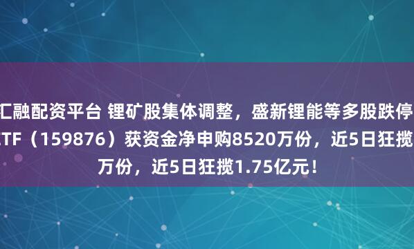 汇融配资平台 锂矿股集体调整，盛新锂能等多股跌停！有色龙头ETF（159876）获资金净申购8520万份，近5日狂揽1.75亿元！