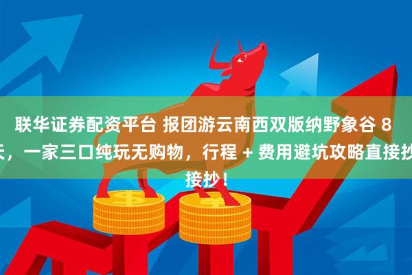 联华证券配资平台 报团游云南西双版纳野象谷 8 天，一家三口纯玩无购物，行程 + 费用避坑攻略直接抄！